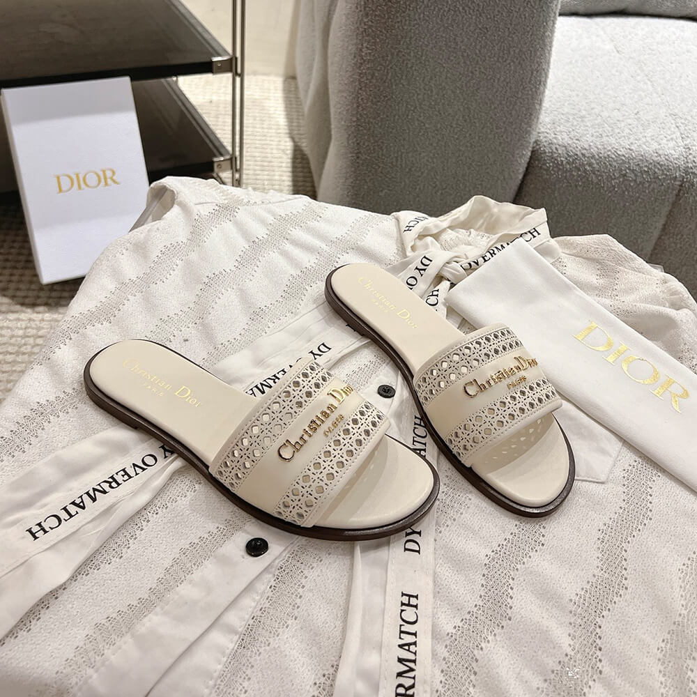 DIOR D-Lane Slide